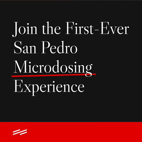 Microdosing Experience