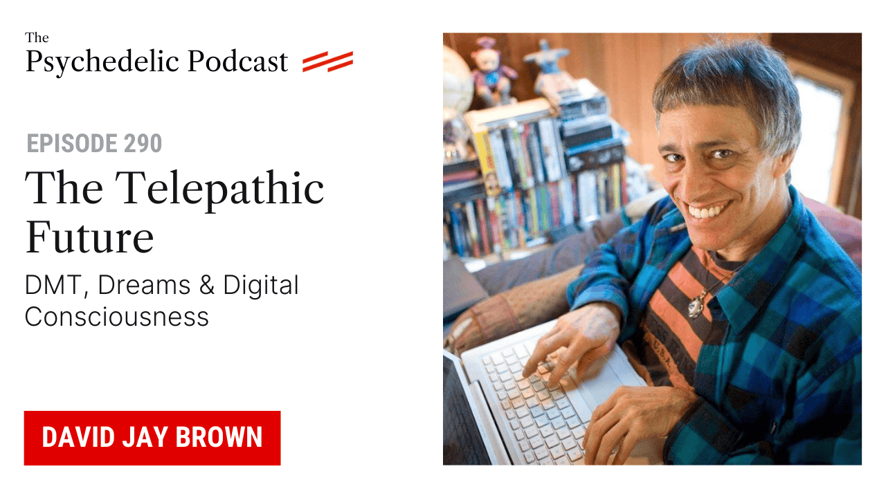 The Telepathic Future: DMT, Dreams & Digital Consciousness - Third Wave