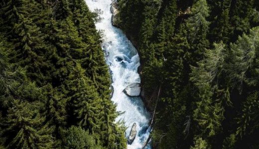river flowing through the forrest