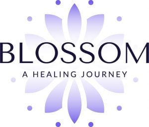Blossom Logo 300x256