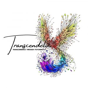 Transcendelic Logo Final 300x300