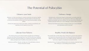 The Potential of Psilocybin 300x174