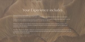 Your Experience includes 300x147