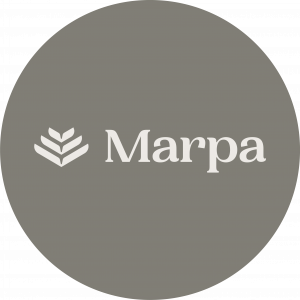 Marpa Minds RGB Circle Main Combination Granite 4 300x300