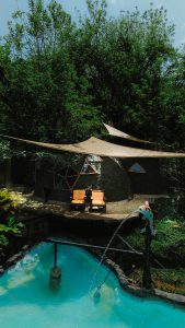 accomodation 169x300
