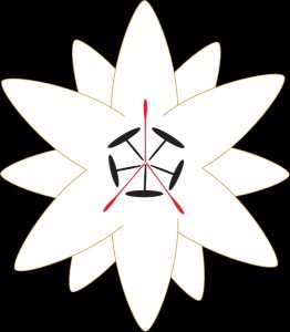 logo 262x300