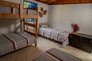 shared room 3 copia 2 300x200
