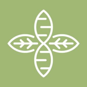 LOGO Alegria Revision Nov 2024 300x300