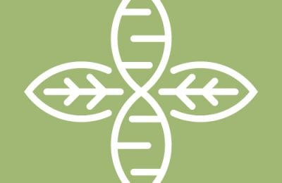 LOGO Alegria Revision Nov 2024 400x260