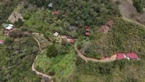 yaogara hero 300x169