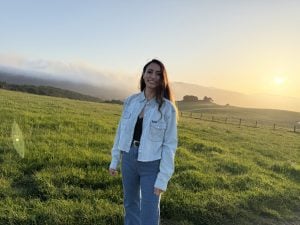 IMG 7861 300x225