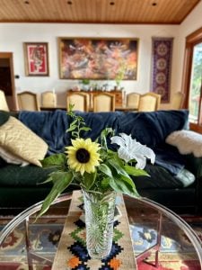 IMG 1902 225x300