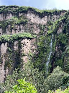 IMG 3280 225x300
