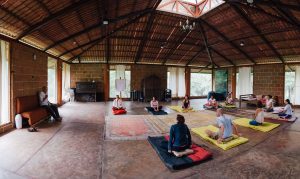 ibogaquest meditation room  300x179