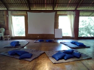 werika ibogaquest meditation room 300x225